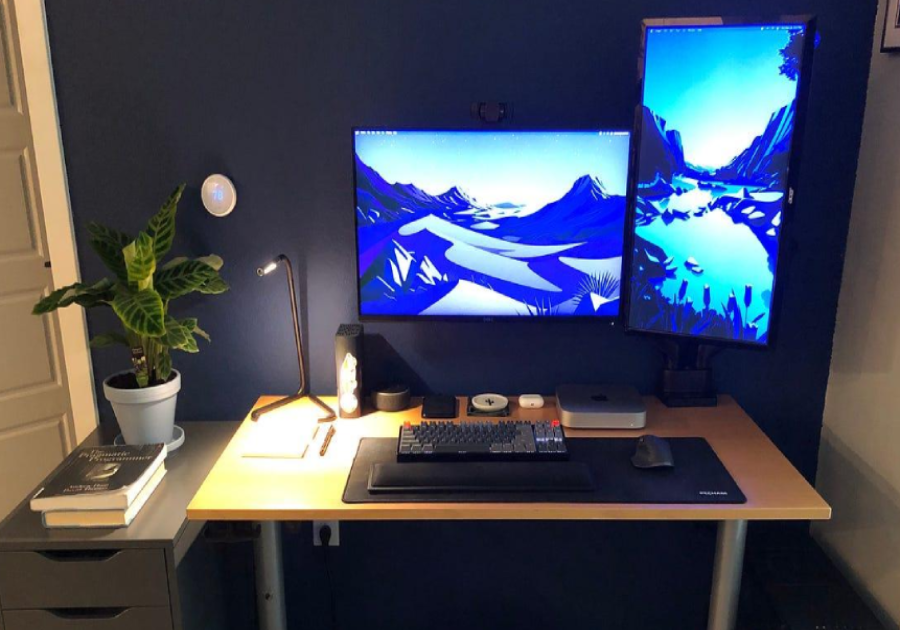 Dual monitor setup for productivity and multitasking